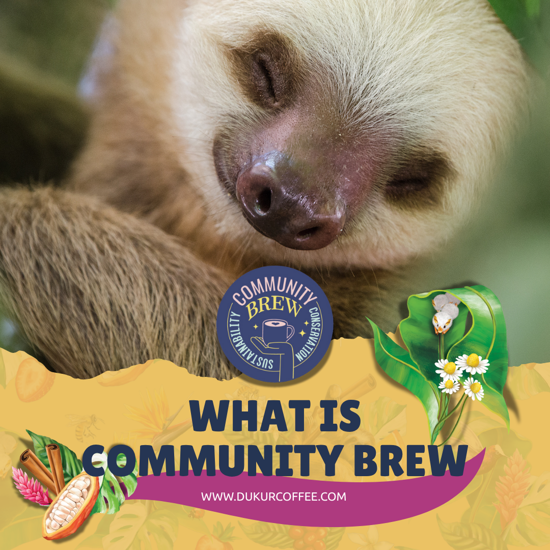 The Story Behind Community Brew: Community in a Cup