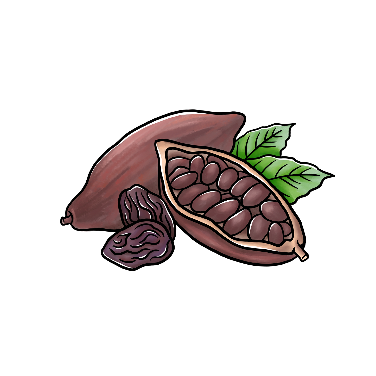 Dukur Coffee Villalobos | Medium Roast