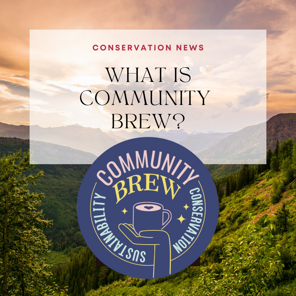 The Story Behind Community Brew: Community in a Cup