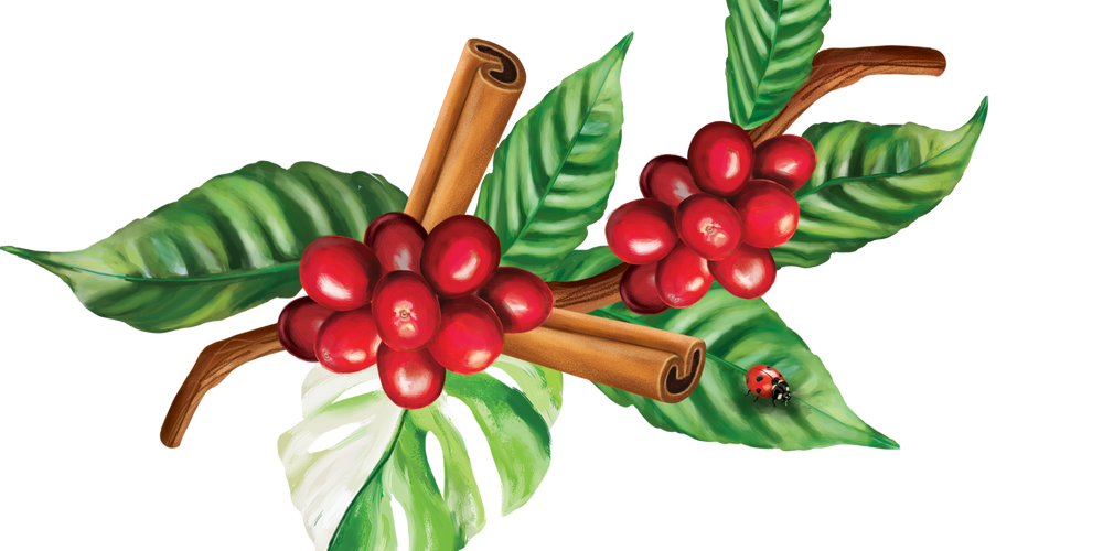 Dukúr Coffee